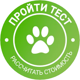 кнопка лапка